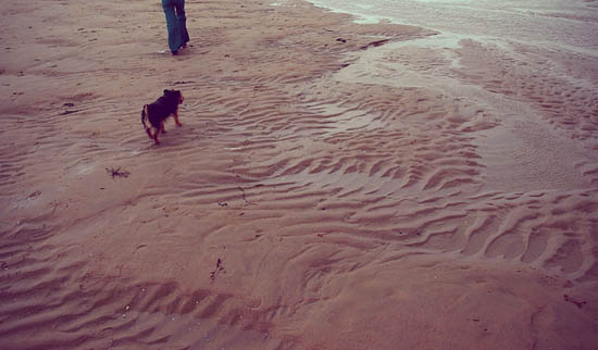 Rivage de Haan - Part II (2009)