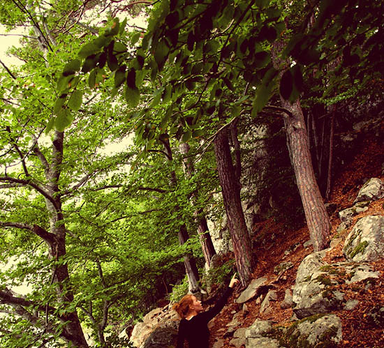Immensité naturelle (2009)