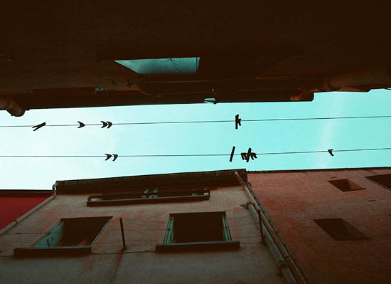 Sur la corde à linge (2010)