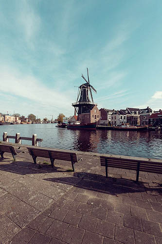 Moulin à Haarlem (2012)