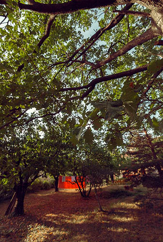 Je pense que le linge est sec (2012)