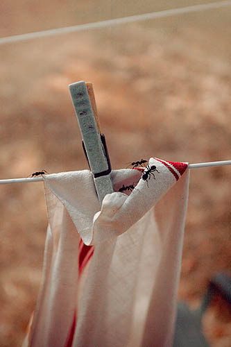 Les funambules Part I (2012)