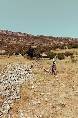 Arid (2012)