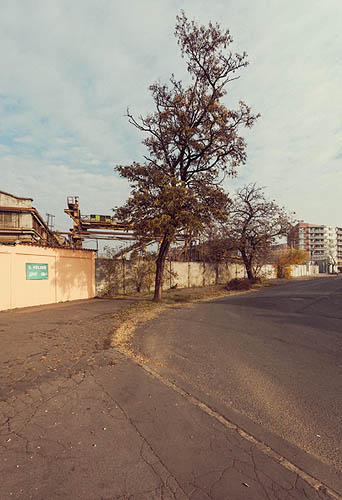 Rue presque sauvage (2012)