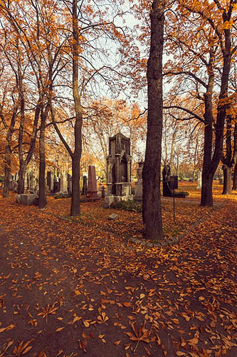 Des feuilles mortes dans le cimetière (2012)