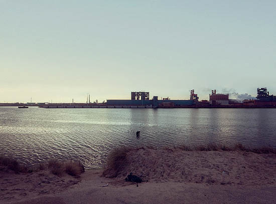 Il se sent épié... (2012)