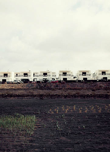 Rangée de maisons à lanzarote (2012)