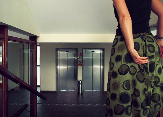 Nous avions décidé de ne pas prendre l'ascenseur (2012)