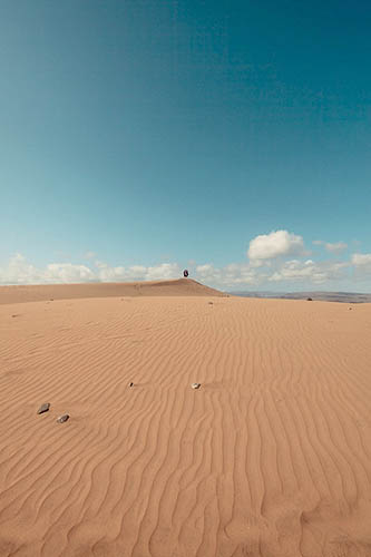 Dans les dunes de Maspalomas (2013)