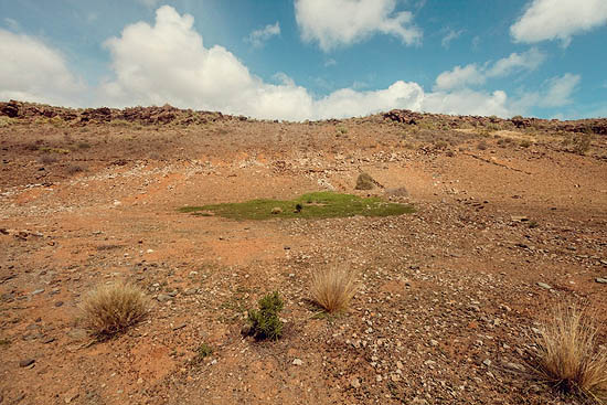 Comme un oasis... (2013)