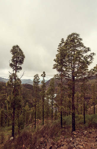 Gran Canaria Tour I (2013)