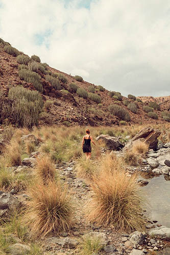 Dans le canyon (2013)