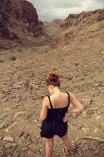 Dans le canyon II (2013)