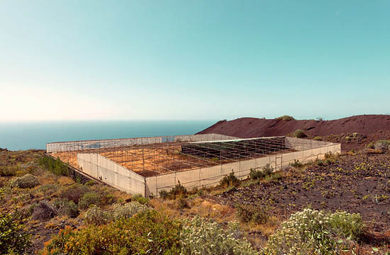 Serre abandonnée (2014)