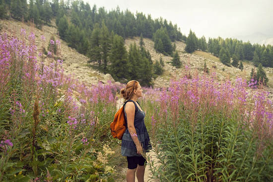 Fleurs d'Allos II (2015)