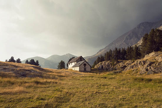 Golden paysage (2015)