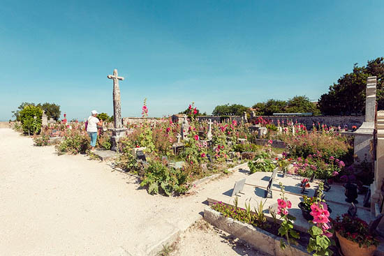 Pink cimetière (2015)