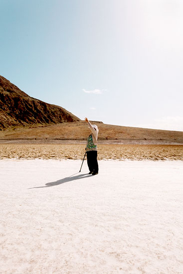 Le signe de la vieille dame à la canne (2016)