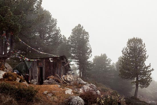 Cabane dans la brume (2017)