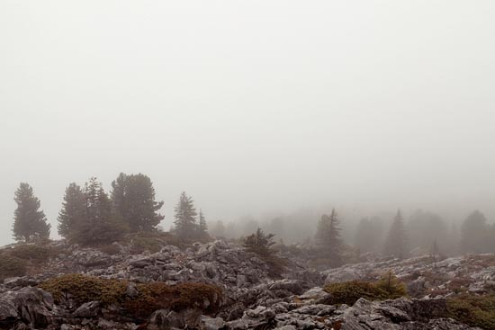 Foggy paysage (2017)