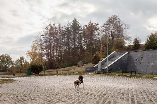Étirement de chien errant / Bulgarie (2017)