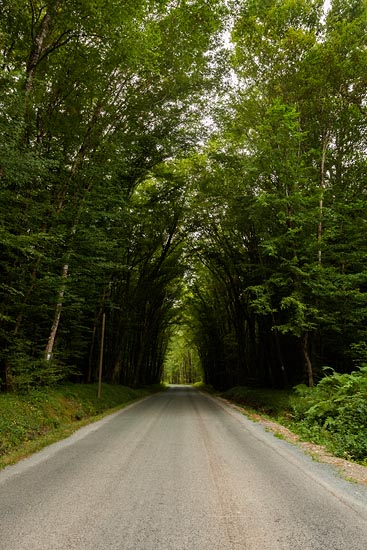 Green Road / France (2017)