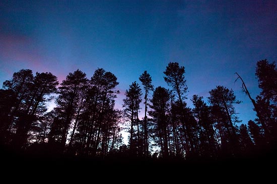Vers la nuit sur la route II (2017)