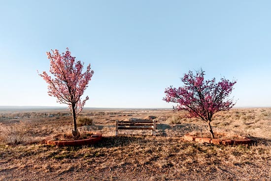 La vue on the hill (2017)