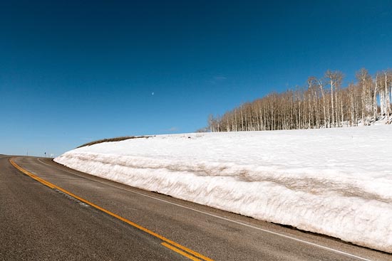 Route, neige et bouleaux, under the moon (2017)