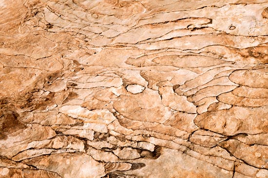 Sol à Capitol Reef (2017)