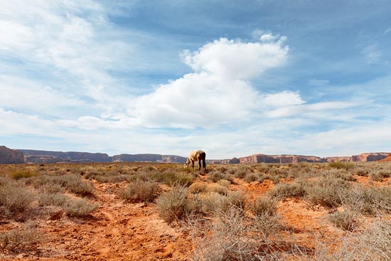 Un cheval à Monument Valley (2017)