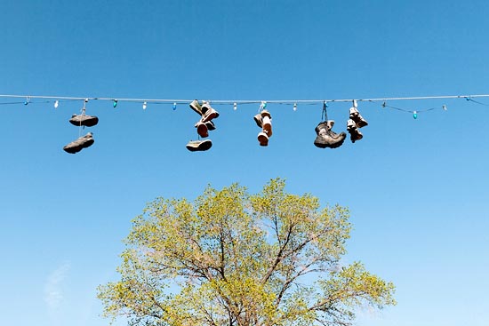 Guirlande de chaussures, au dessus d'un arbre (2017)