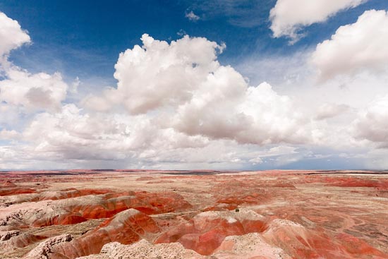 Petrified Forest Landscape, rouge et nuageux (2017)
