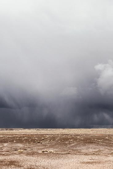 Petrified Forest Landscape, les nuages gris (2017)