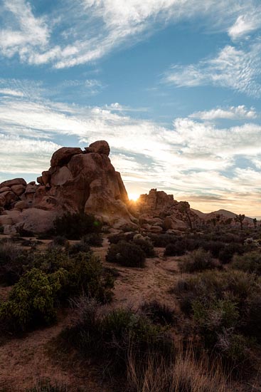 Fin de journée sur Joshua Tree II (2017)