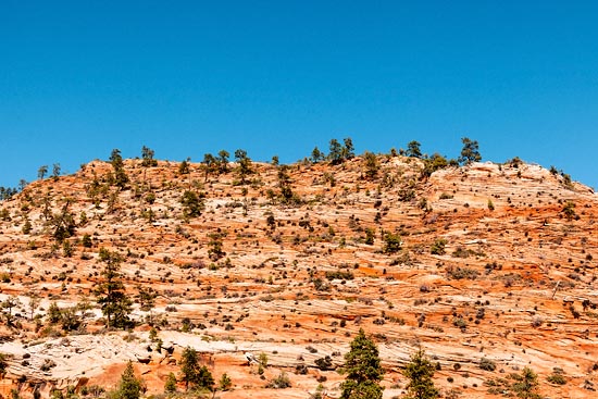 Red Waves Rock (2017)