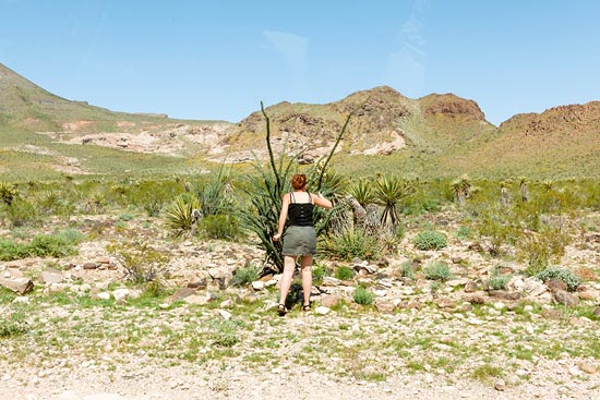 Green Végétation en bord de route (2017)