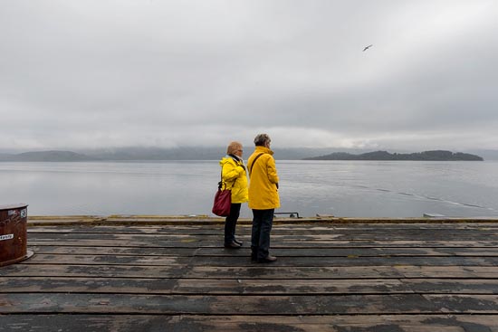 Yellow & Yellow / Écosse (2018)