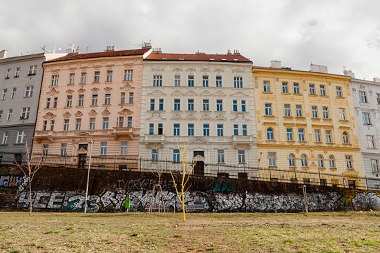 Rose, crême et jaune / Prague (2019)