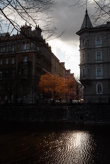 Les arbres roux / Prague (2019)