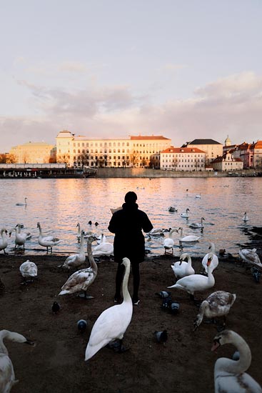 La femme aux cygnes / Prague (2019)