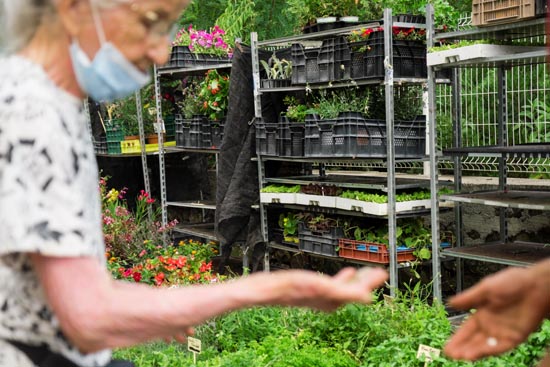 Vendre des plantes et rendre la monnaie / France (2020)