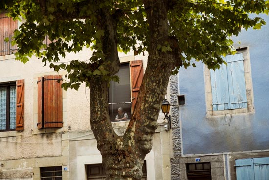 Mamie Tree / France (2020)