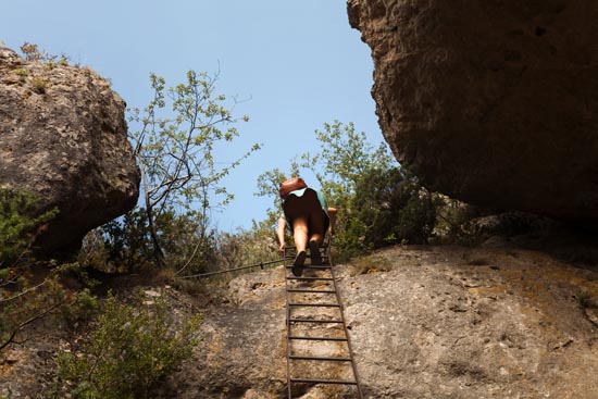 En bas de l'échelle... / France (2020)