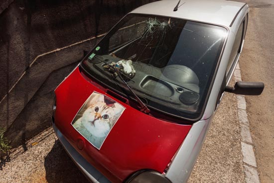 Mignonneries et pare-brise cassé / France (2020)