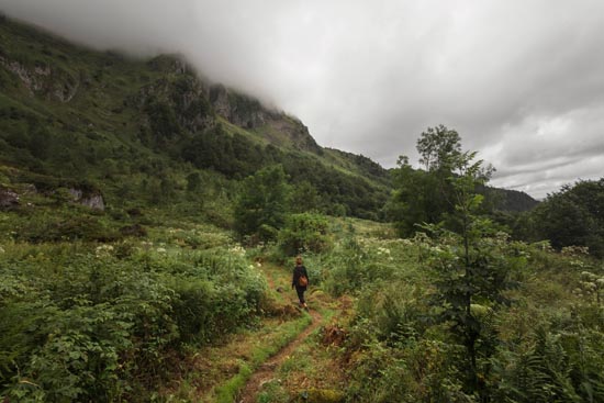 Green Randonnée improvisée / France (2020)