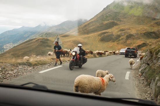 Foutoir de route de montagne / France (2020)