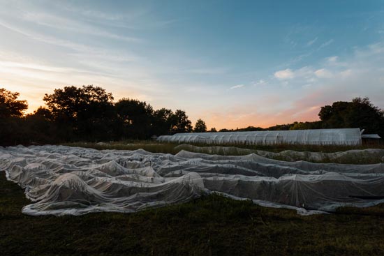 Une nuit chez un producteur bio / France (2020)
