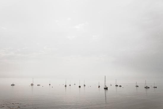 Plein de petits bateaux / France (2020)