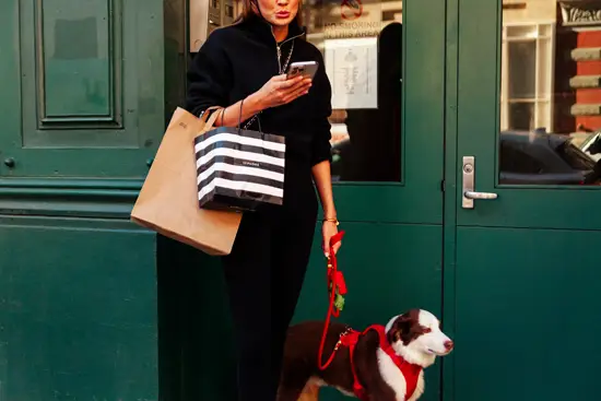 Sac à rayures et chien bicolore / New York, USA (2022)